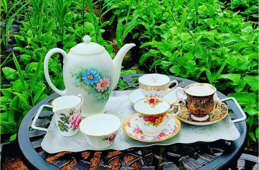 A table set for tea with greenery growing