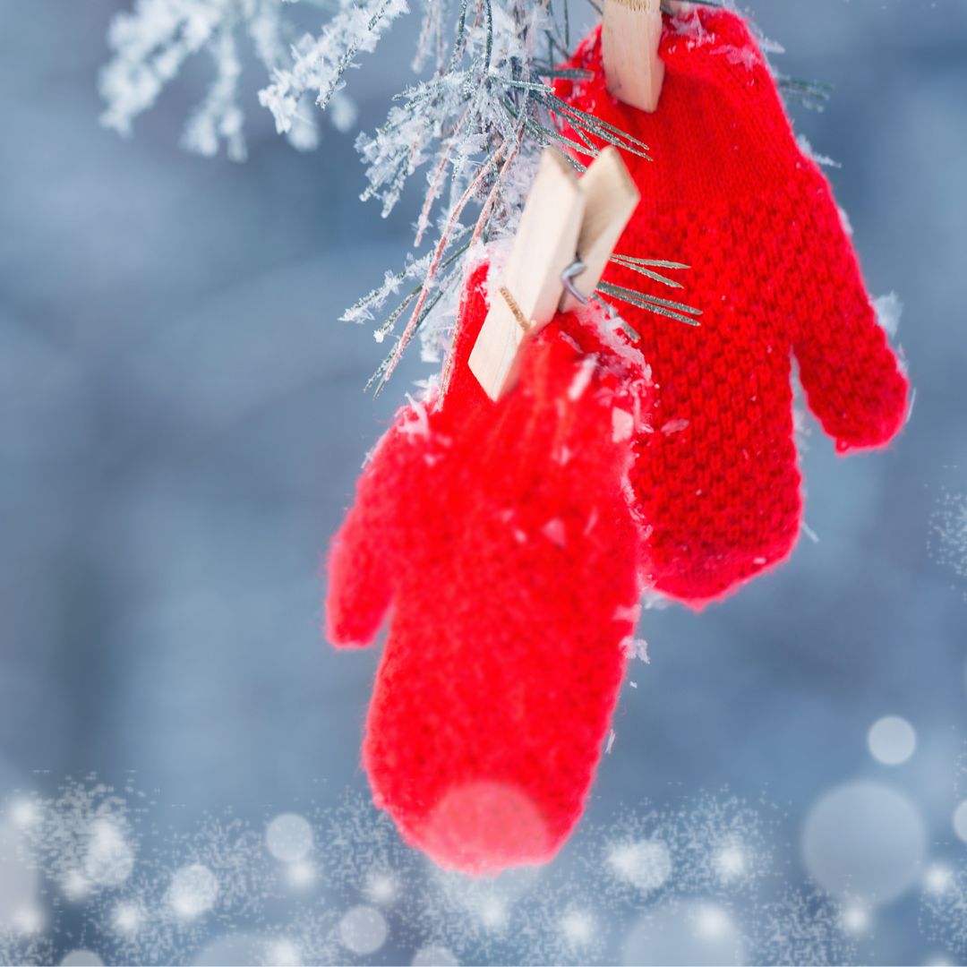 LIB-Red Mittens.jpg